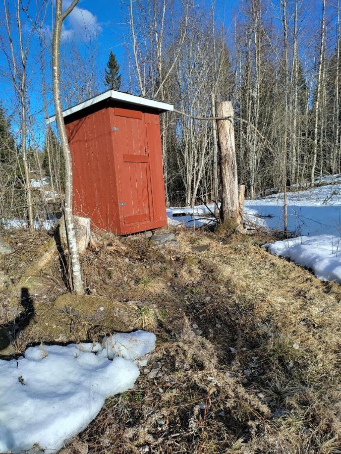 Вілла Isokummun Foresta Sievi Екстер'єр фото
